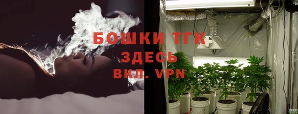 шишки Вязьма