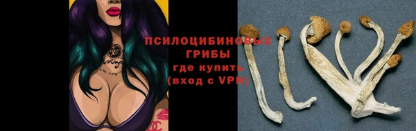 гашик Володарск